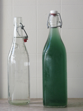 a bottle of chilled nettle tisane and a bottle of water side by side