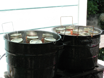 jars of tomatoes in the canning pots